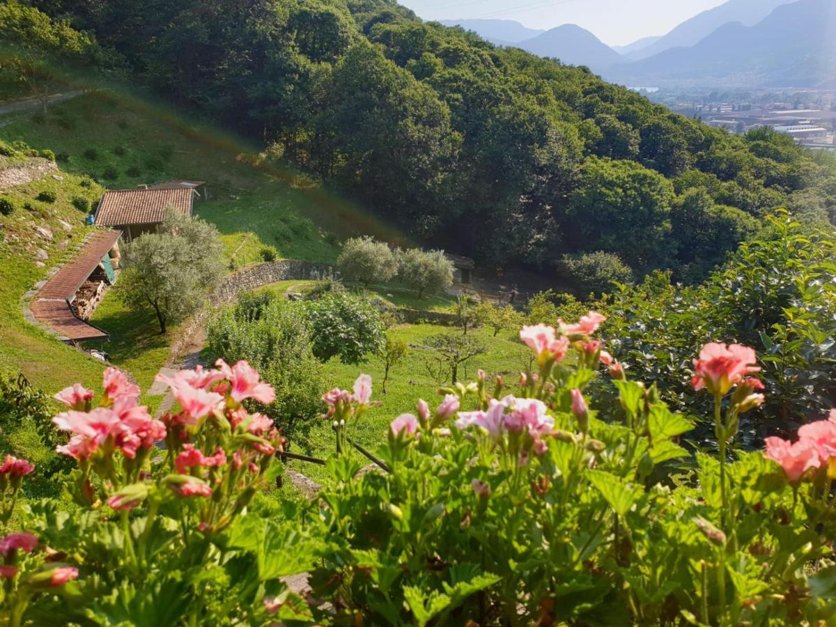 Villa D'Epoca Le Capele Gratacasolo Exteriör bild
